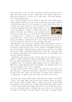 현대시론 김기택 시인 시집 바늘구멍 속의 폭풍-2