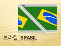 인문과학 남미의 음식문화 브라질 페루 아르헨티나를 중심으로-4