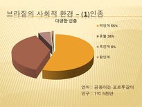인문과학 남미의 음식문화 브라질 페루 아르헨티나를 중심으로-6