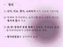 시조 시조 개념 시조 명칭 시조 연원 시조 형성 시조 율격 시조 구조-13