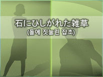 문학개론 돌에 짓눌린 잡초-1