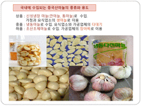 한 중 마늘 세이프가드-3