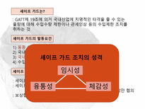 한 중 마늘 세이프가드-5