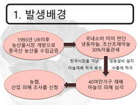 한 중 마늘 세이프가드-6