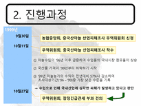 한 중 마늘 세이프가드-8
