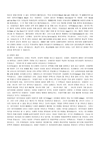 인문과학 팔레스타인과 이스라엘의 분쟁 그 이후 점령 테러리즘 그리고 미래-5