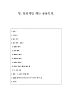 인문어학 말 달리기만 하는 동물인가-1
