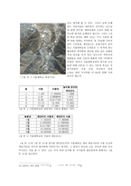 대학국어 서울 도심과 서울대학교 내의 체감온도 차이에 대한 비교 분석-12
