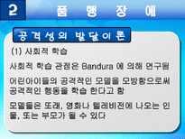 사회과학 품행장애와 공격성-15