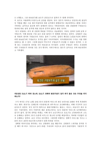 칼기 사건 의혹 칼기사건 공론화 과정 칼기사건 의혹 칼기사건 일지 칼기사건 조사 칼기사건 분석 KAL기 폭파사건 김현희 KAL기 폭파사건 공론화 과정 KAL기 폭파사건 의혹 KAL기 폭파사건 일지-13