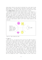 [초등도덕교육론]아리스토텔레스 윤리의 이해와 현대교육에의 적용-4