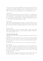 게오르그 짐멜 여성문화와 남성문화-4