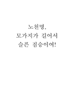 인문과학 노천명 모가지가 길어서 슬픈 짐승이여-1
