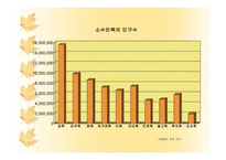 인문어학 중국의 소수민족-6