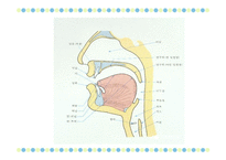 국어학개론 음운론 음운단위 변이음 음운체계 분절음 음절 초분절음 변별자-9