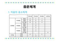 국어학개론 음운론 음운단위 변이음 음운체계 분절음 음절 초분절음 변별자-12