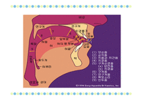 국어학개론 음운론 음운단위 변이음 음운체계 분절음 음절 초분절음 변별자-13