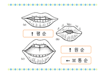 국어학개론 음운론 음운단위 변이음 음운체계 분절음 음절 초분절음 변별자-15