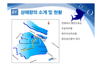 항만관리 운영론 중국의 항만 물류 급성장 세계 1위에 빛나는 상해항-6