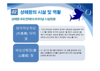 항만관리 운영론 중국의 항만 물류 급성장 세계 1위에 빛나는 상해항-20