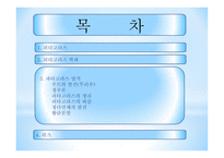 피타고라스 피타고라스 학파 피타고라스 업적 루트의 발견 피타고라스 무리수 발견-2