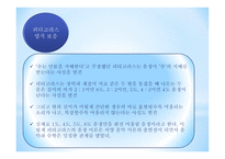 피타고라스 피타고라스 학파 피타고라스 업적 루트의 발견 피타고라스 무리수 발견-17