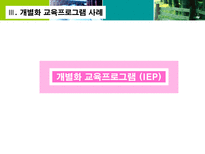 전환교육 수행 전략 전환교육 구성과 원칙 전환교육 계획수립 단계와 적용 개별화-13