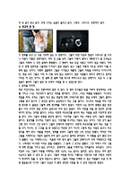 어디에나, 언제나, 누구나 그 모두의 것 영화 - 후회하지 않아-6