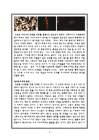 공포 판타지로서의 향수 어느 살인자의 이야기-6