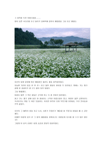 문인답사 보고서 - 이효석 달빛에 젖은 메밀꽃을 찾아서-3