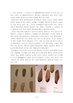 광양특별전을보고 광양전 광양특별전 광양특별전 광양시연표 광양고대문화-13