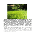 두꺼비생태공원을 다녀와서-3