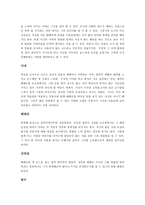 초록물고기 분석 - 장면분할표-3