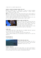 기호학 분석 피아노 피아노 영화 소개 피아노 기호학 분석-5