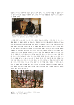 [영화분석] 빅 피쉬 - 내러티브, 장면 분석-8