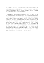 독후감 - 마르탱 게르의 귀향을 읽고-3