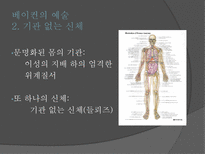 미학 오디세이 숭고와 시뮬라크르 감각의 제국 지각에서 감각으로 베이컨의 예술-8