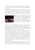 -스파이더맨- 2002년(샘 레이미 감독)-3