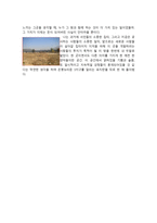 기행문 한양마을 답사 후-2