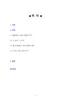 불분명함의 미학-1