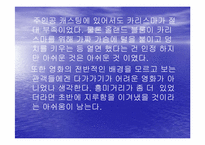 [영화비평] 영화 킹덤오브헤븐의 비평-11