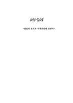 [현대미학] 칸트의 천재와 미적판단에 관하여-10