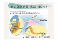 [예방의학] 미나마타병-2