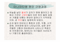 [예방의학] 미나마타병-10