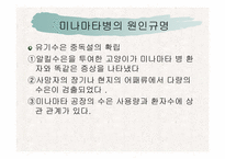 [예방의학] 미나마타병-13