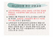 [예방의학] 미나마타병-14