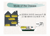 [예방의학] 미나마타병-15