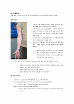 [인간공학실험] 이두박근의 정적 운동 EMG 측정-4
