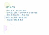[스포츠영양학] 무기질에 관하여-7