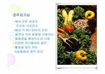 [스포츠영양학] 무기질에 관하여-14